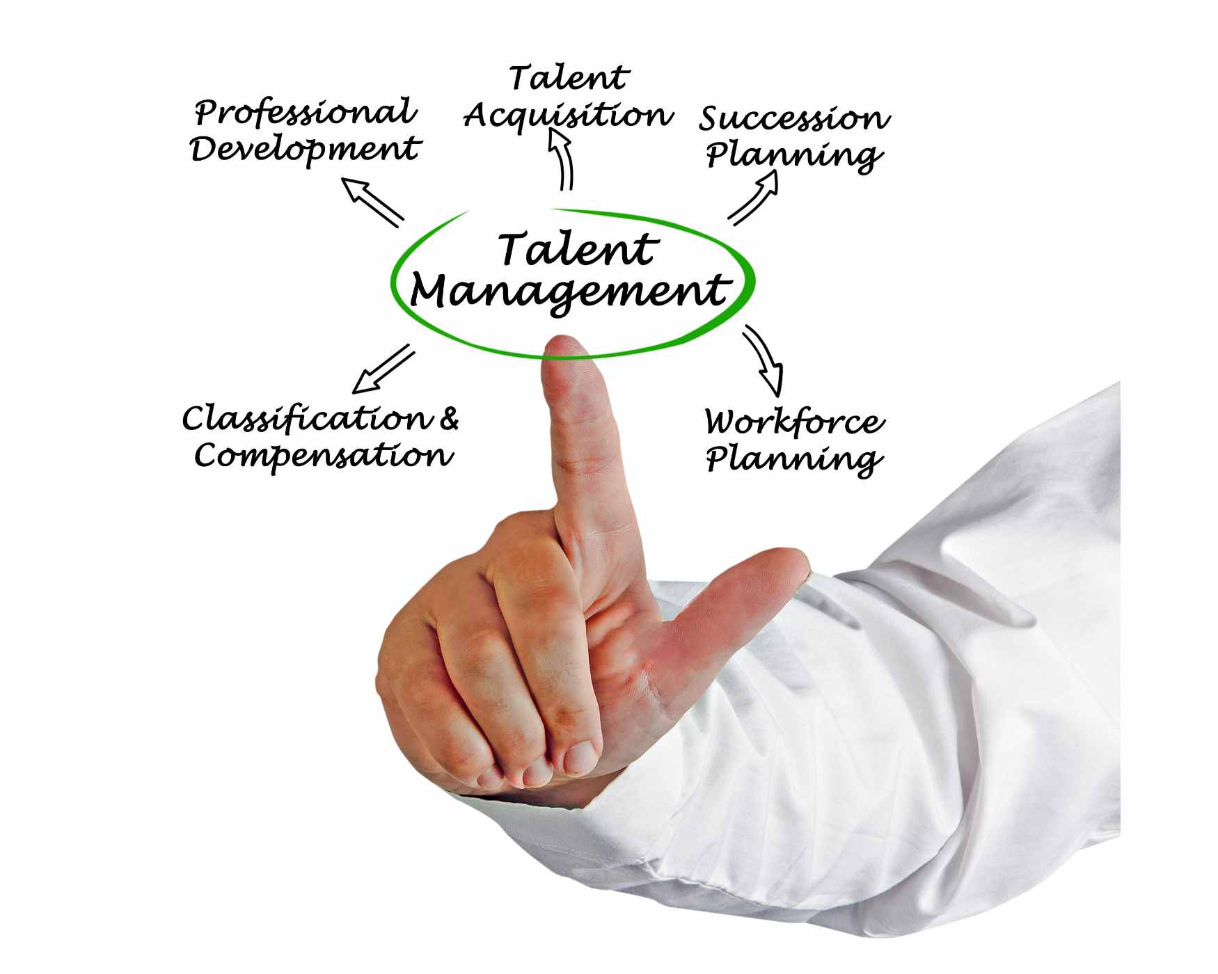 Talent Pool Pengertian Manfaat Dan Cara Membangunnya